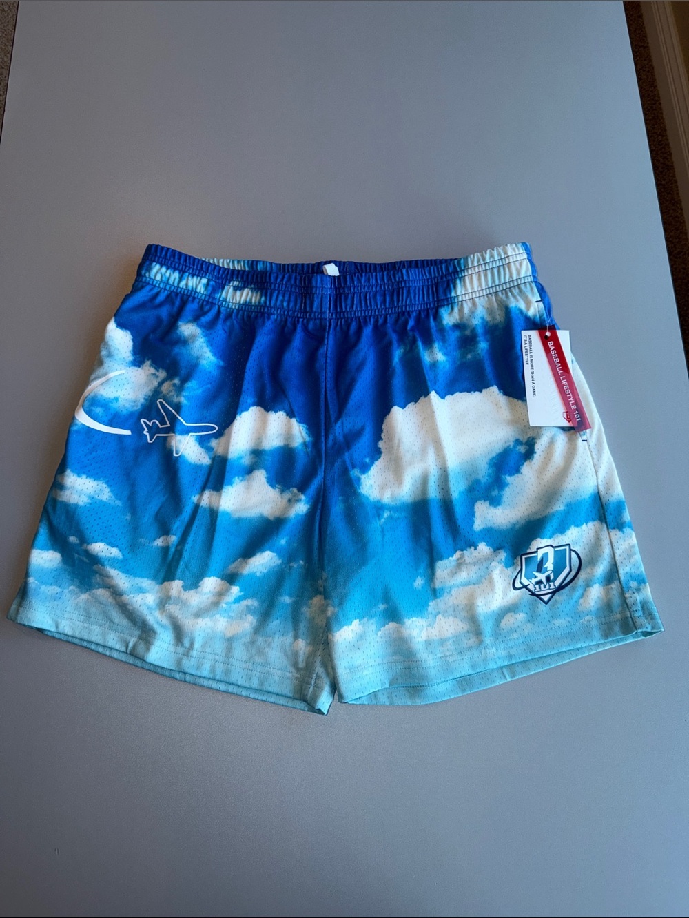 Baseball Lifestyle 101 NWT Dream Chaser Shorts